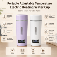 Temperature Electric Thermos